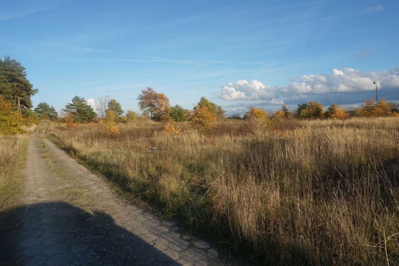 Działka rolna Jeziorki. Zdjęcie 3