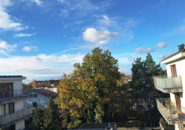 Mieszkanie 2-pokojowe Warszawa Wawer, ul. Lucerny. Zdjęcie 9