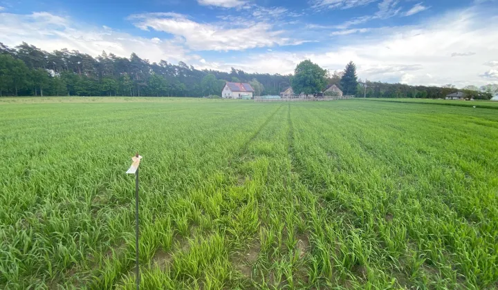 Działka budowlana Srocko Małe