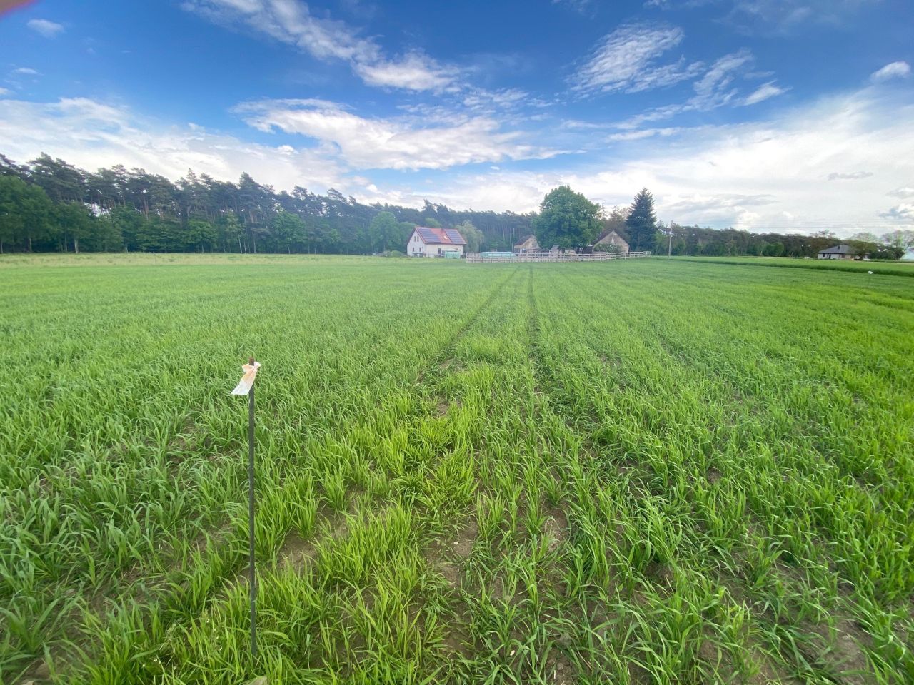 Działka budowlana Srocko Małe