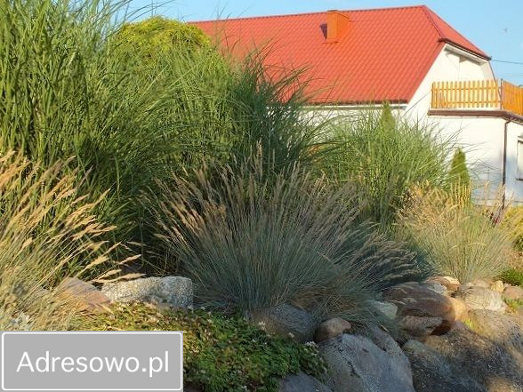 dom wolnostojący, 3 pokoje Gałązki Wielkie. Zdjęcie 5