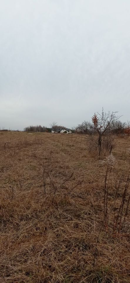 Działka budowlana Sołtyków, ul. Główna. Zdjęcie 6