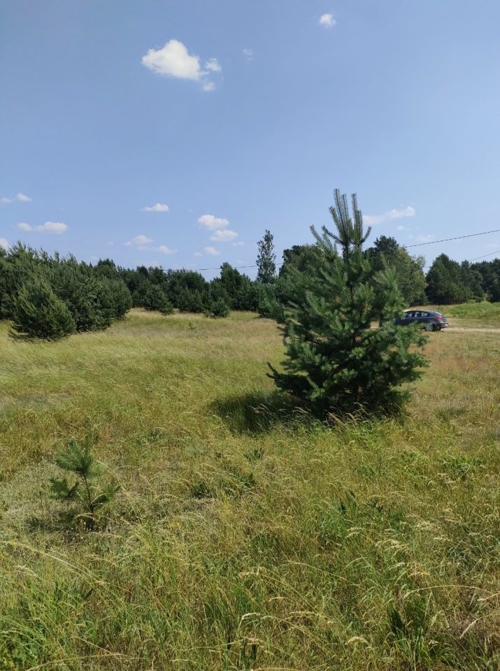 Działka rolno-budowlana Mącice. Zdjęcie 2