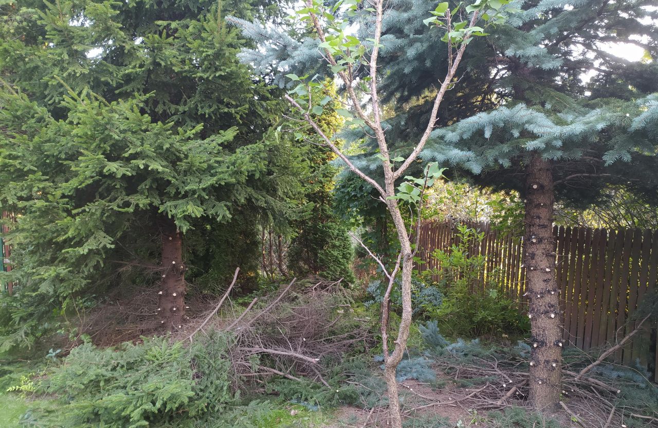 Działka rod Warszawa Wola, ul. Jana Brożka. Zdjęcie 3