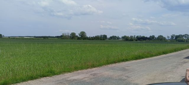 Działka budowlana Kamień Duży. Zdjęcie 1