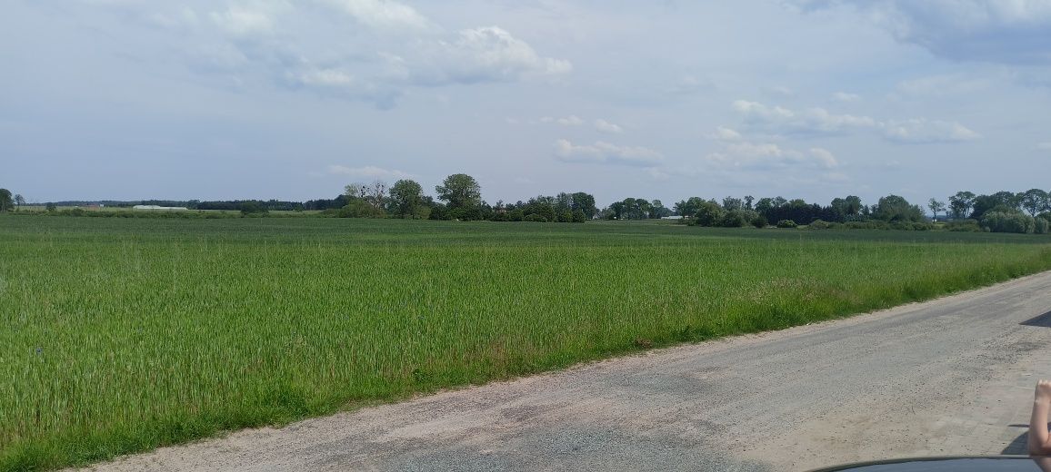 Działka budowlana Kamień Duży. Zdjęcie 1