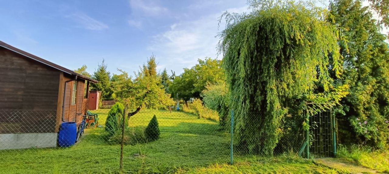 Działka rod Proszowice. Zdjęcie 7