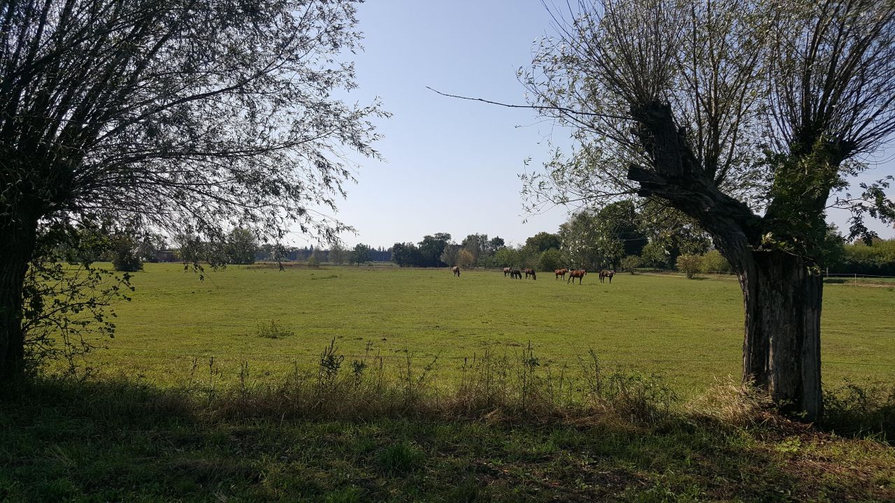 Działka budowlana Ciechocinek, ul. Wołuszewska. Zdjęcie 4