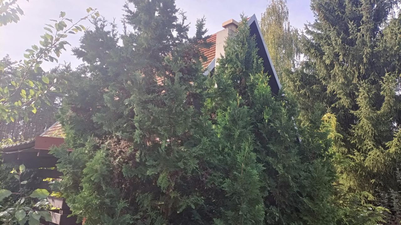 dom letniskowy, 6 pokoi Lipnica. Zdjęcie 2