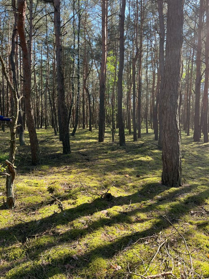 Działka rolna Franki Broniki. Zdjęcie 8