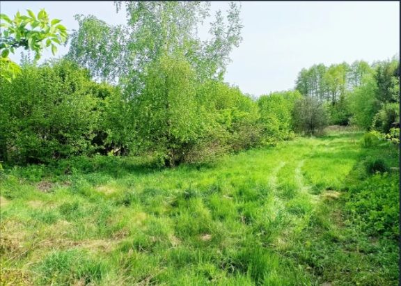 siedlisko, 2 pokoje Andryjanki. Zdjęcie 6