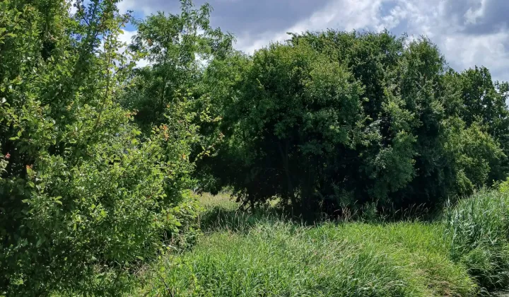 Działka budowlana Siemień, ul. Spacerowa