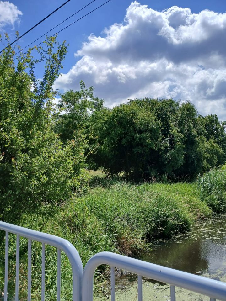 Działka budowlana Siemień, ul. Spacerowa