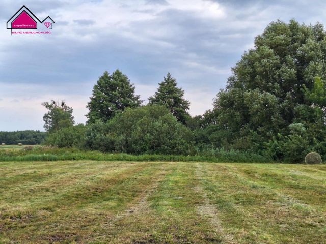 Działka rolna Wilcza Kłoda. Zdjęcie 1