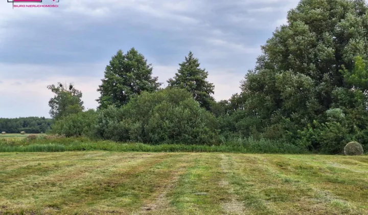 Działka rolna Wilcza Kłoda