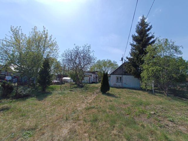 Działka rolno-budowlana Domaradzyn. Zdjęcie 1