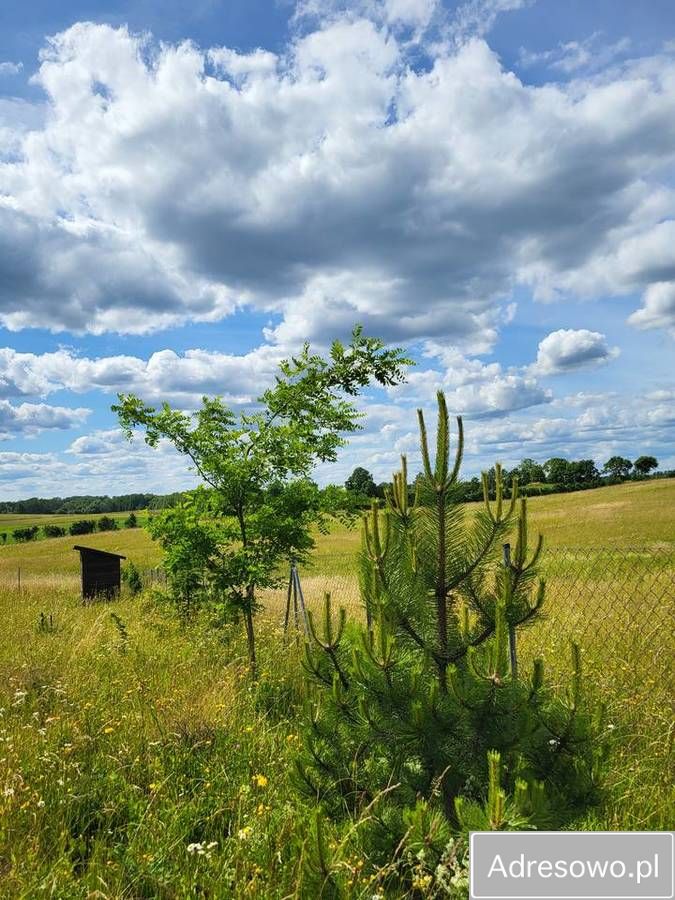 Działka budowlana Elganowo. Zdjęcie 3