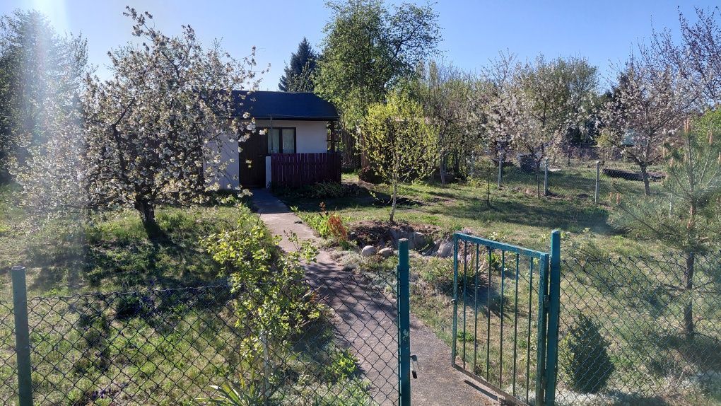 Działka rod Ciechanów. Zdjęcie 2