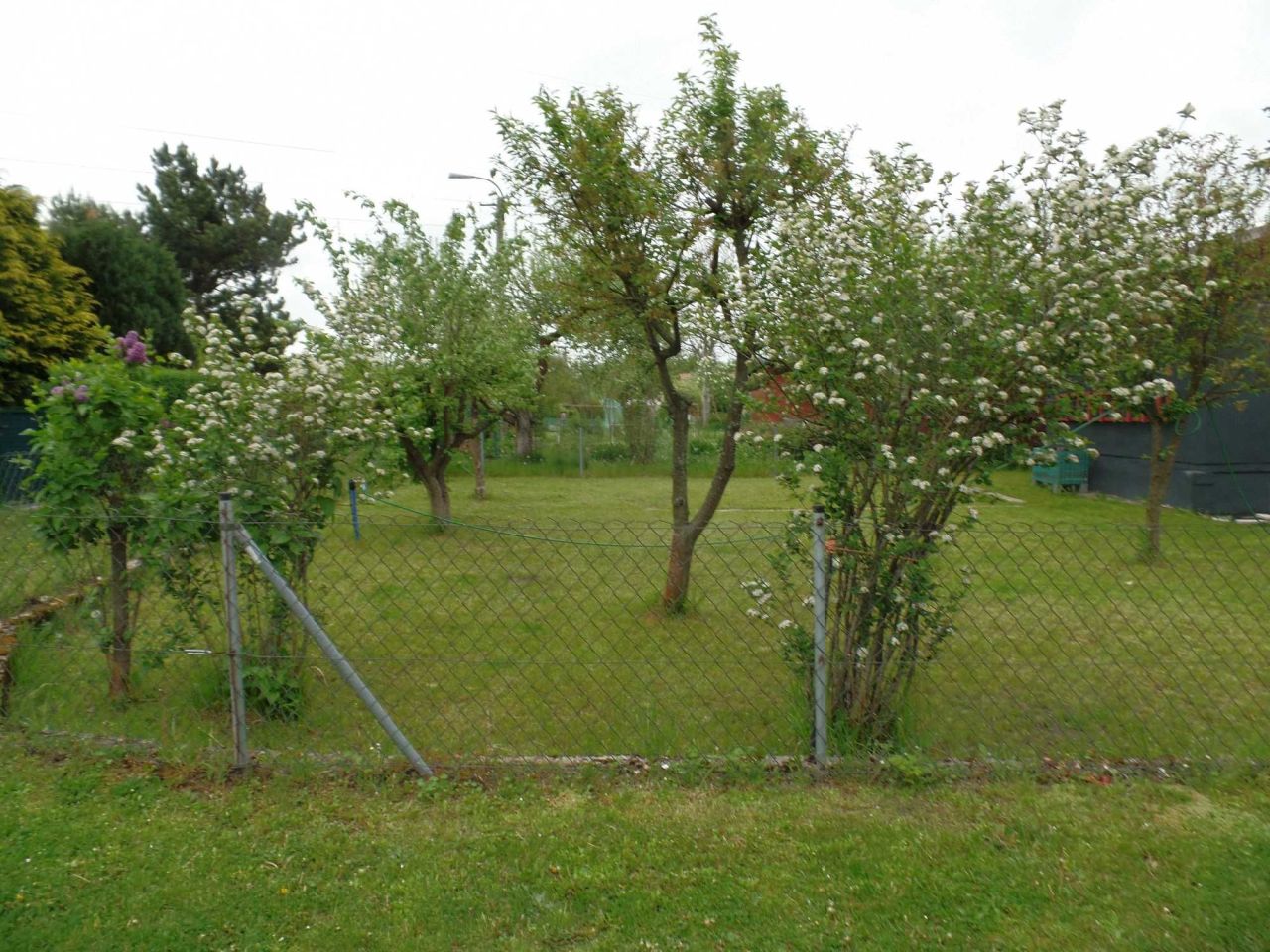 Działka rod Kielce. Zdjęcie 7