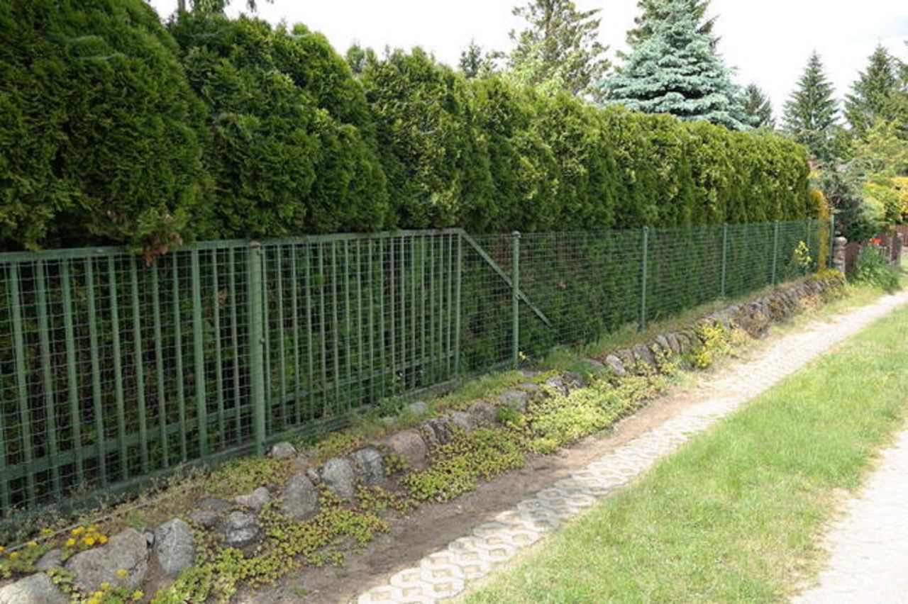 Działka rod Niewodnica Kościelna, ul. Działkowców. Zdjęcie 64