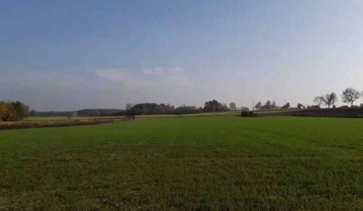 Działka budowlana Grzybów