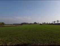 Działka budowlana Grzybów