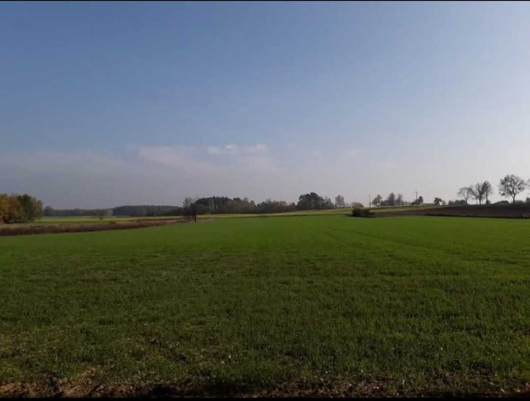 Działka budowlana Grzybów