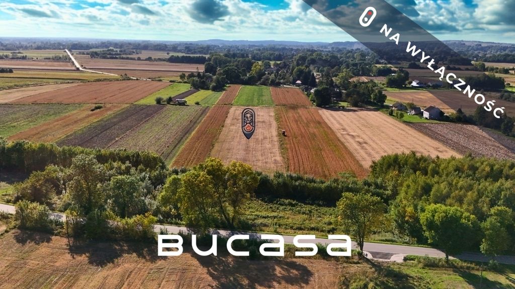 Działka rolna Wola Przemykowska. Zdjęcie 2