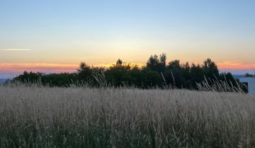 Działka budowlana Tyczyn, ul. Mickiewicza