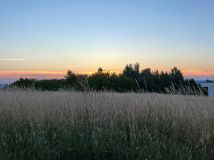 Działka budowlana Tyczyn, ul. Mickiewicza. Zdjęcie 1