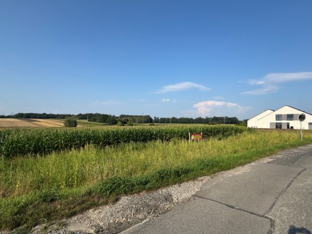 Działka rolno-budowlana Wieszowa. Zdjęcie 5