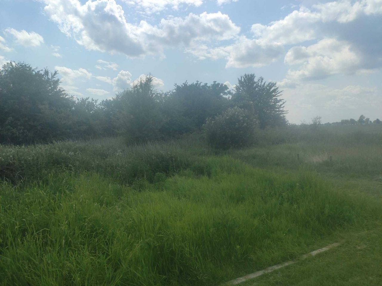 Działka rod Nowy Dwór Gdański. Zdjęcie 3