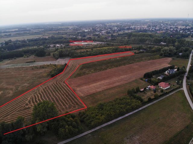 Działka rolna Sosnowica, ul. Mszczonowska. Zdjęcie 1