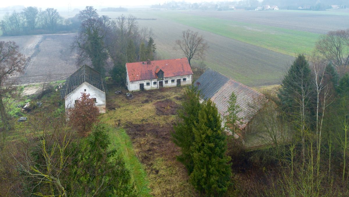 Działka budowlana Siekierowice. Zdjęcie 25