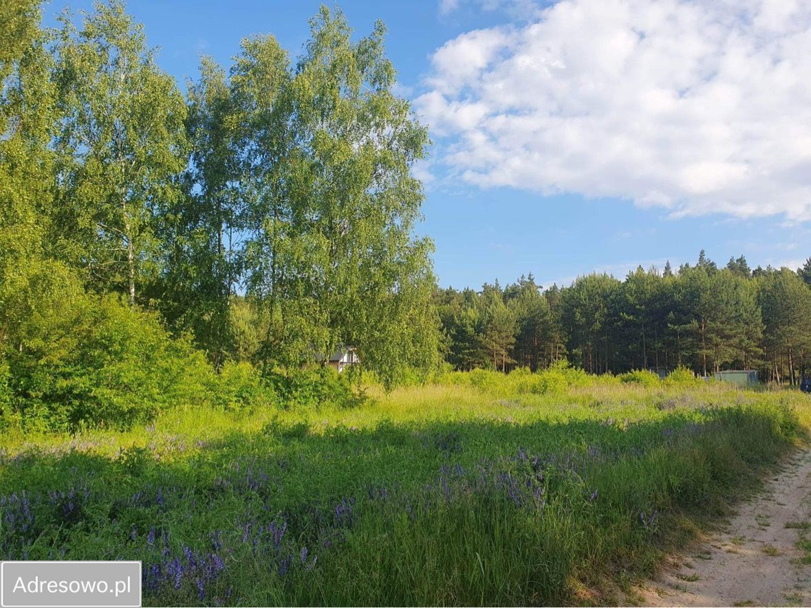 Działka rekreacyjna Panoszów Niwki, ul. Łąkowa. Zdjęcie 15