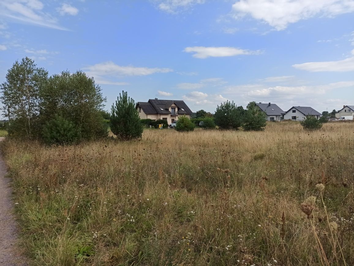 Działka budowlana Biała. Zdjęcie 3