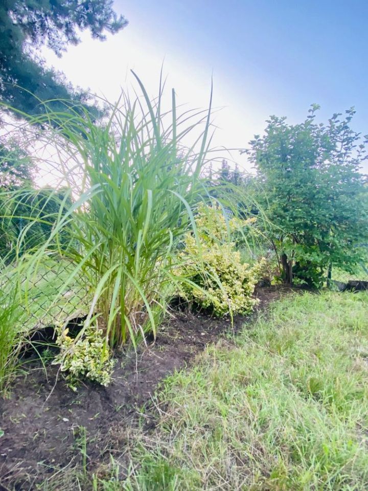 Działka rod Poznań Wilda, ul. Droga Dębińska. Zdjęcie 6