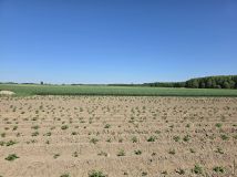 Działka budowlana Skalmierzyce, ul. Brzozowa. Zdjęcie 1