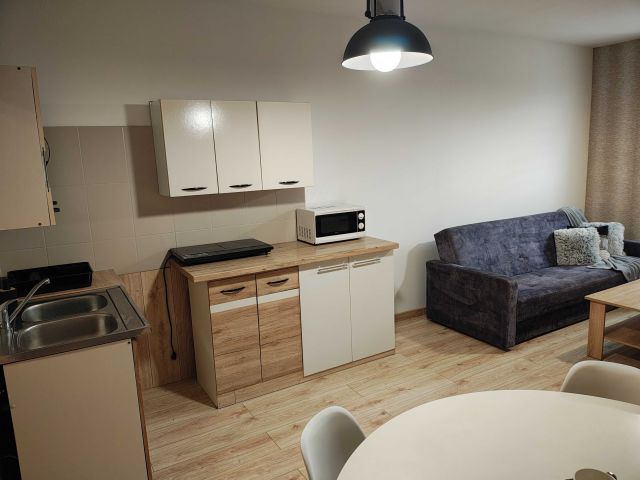 Mieszkanie 1-pokojowe Krzyż Wielkopolski, ul. Zachodnia. Zdjęcie 1