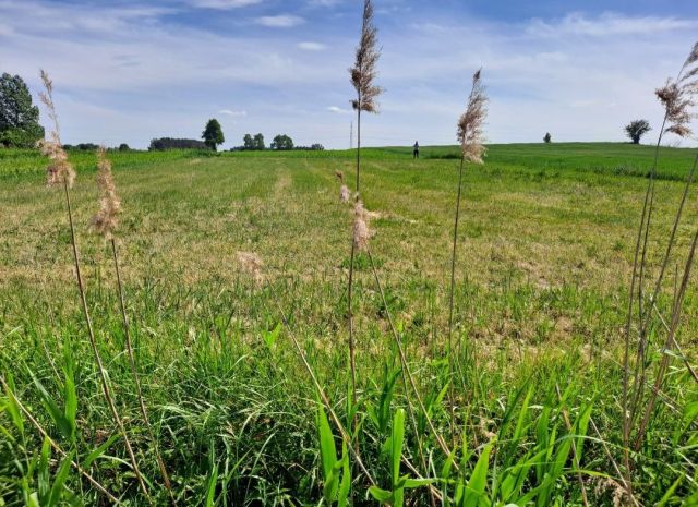 Działka budowlana Ośmiałowo. Zdjęcie 1