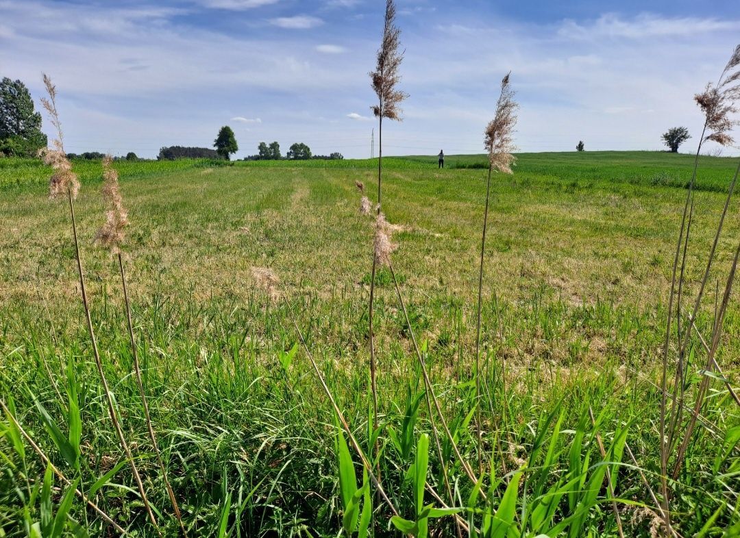 Działka budowlana Ośmiałowo