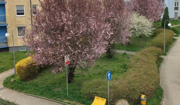 Mieszkanie 3-pokojowe Szczecin Bukowe, ul. Romantyczna