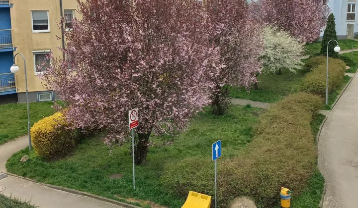 Mieszkanie 3-pokojowe Szczecin Bukowe, ul. Romantyczna