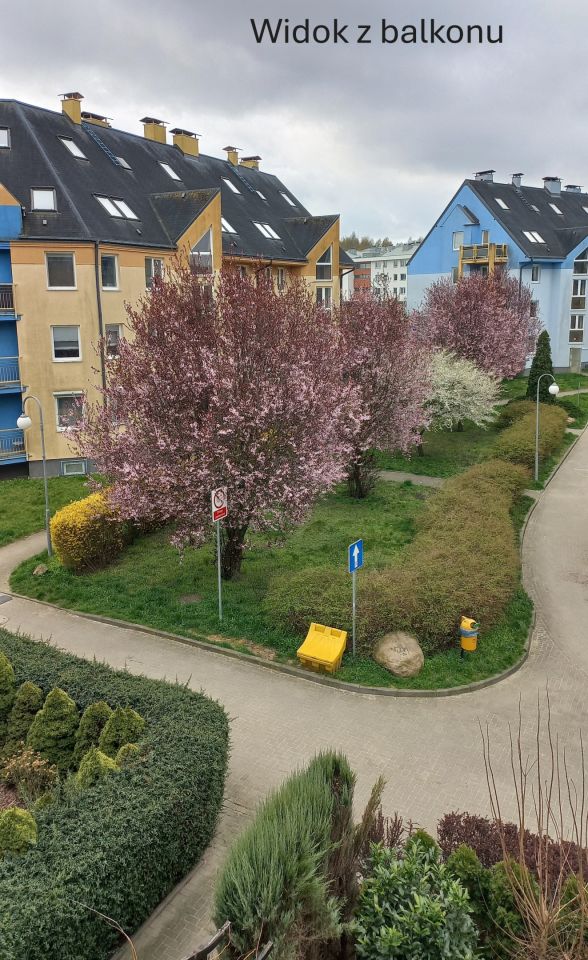 Mieszkanie 3-pokojowe Szczecin Bukowe, ul. Romantyczna. Zdjęcie 2
