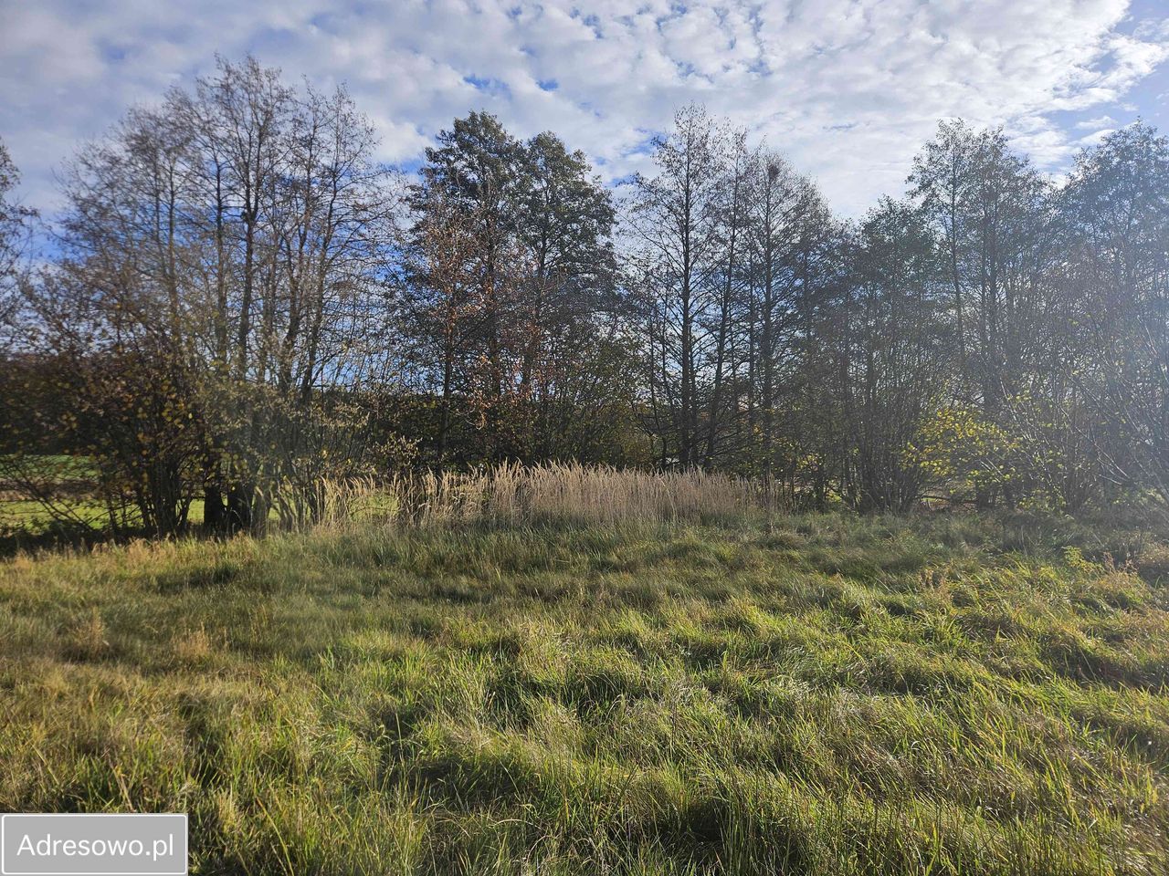 Działka rolno-budowlana Królewska Wola. Zdjęcie 8