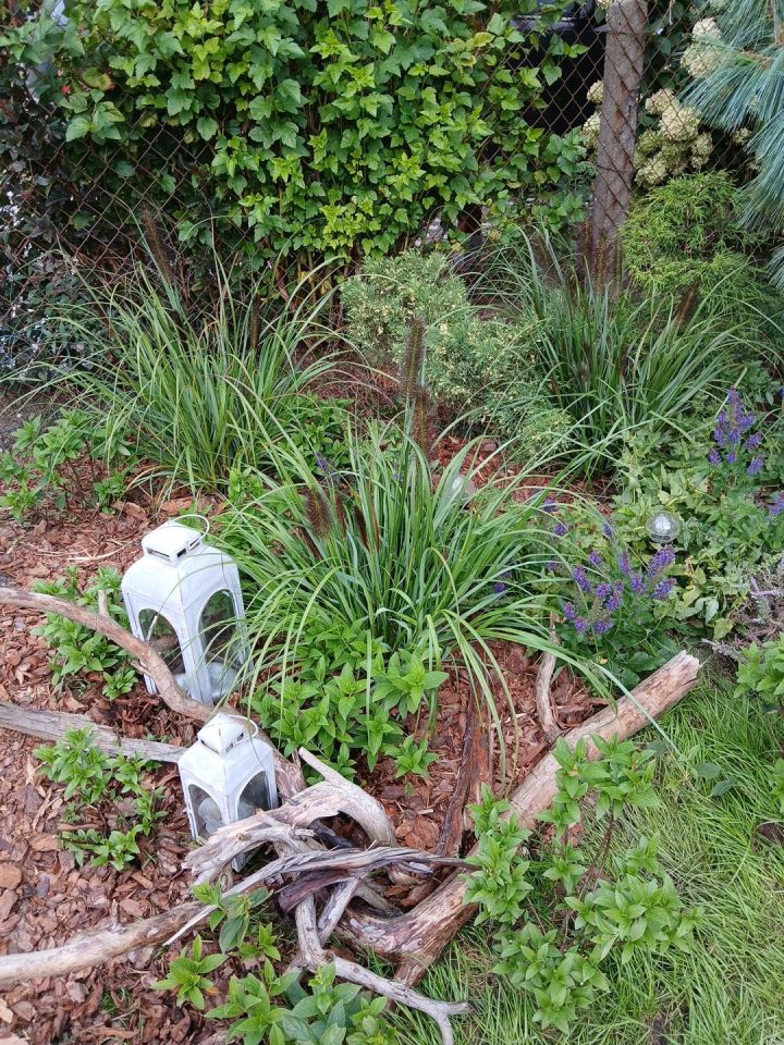 Działka rod Stefanowo, ul. Ułanów. Zdjęcie 7