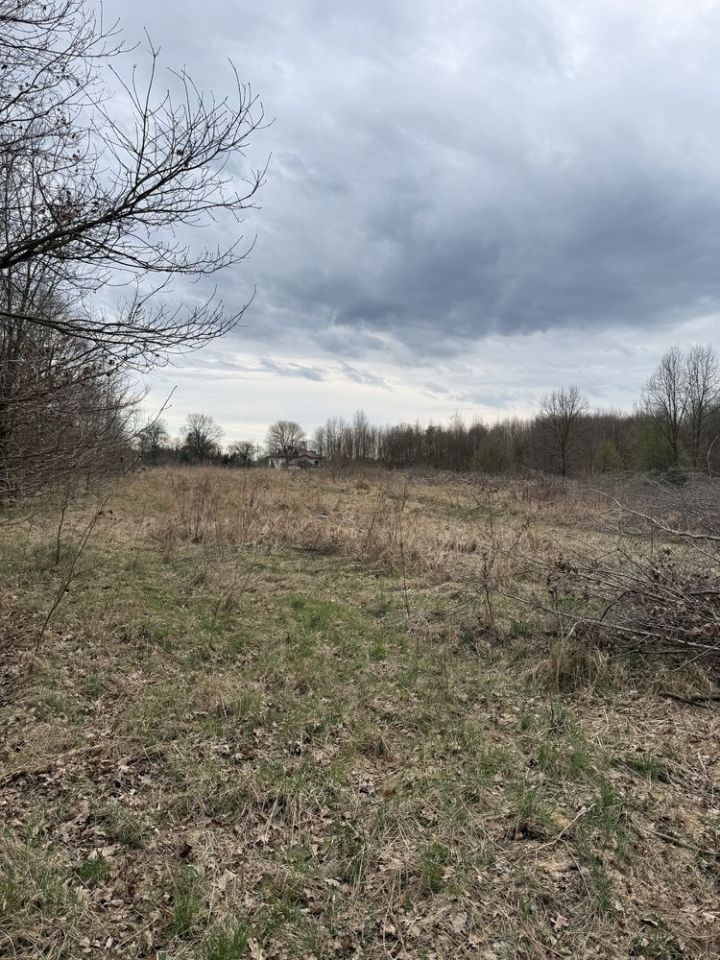 Działka budowlana Lipinki Łużyckie, ul. Żarska. Zdjęcie 6