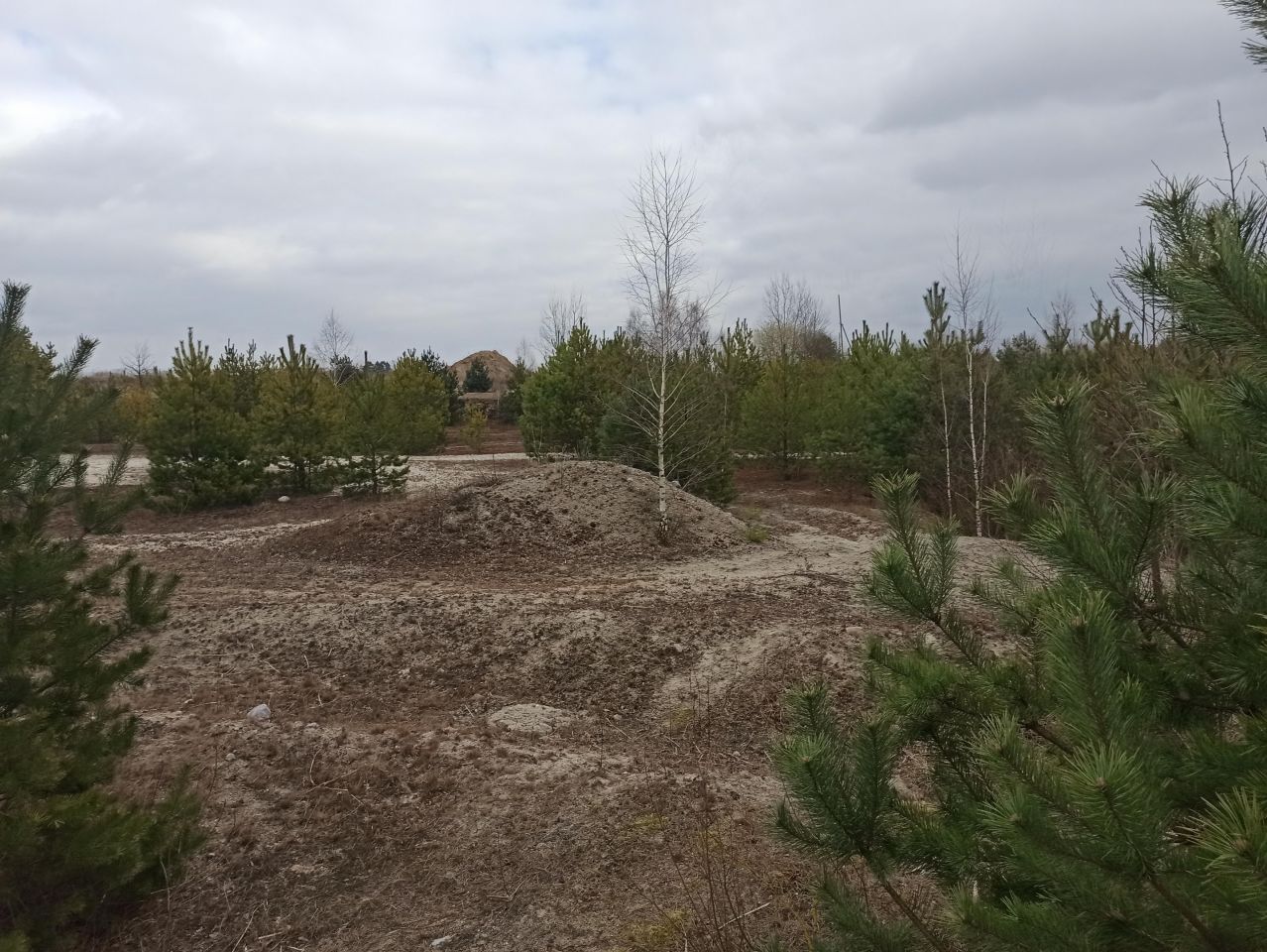 Działka inwestycyjna Strzegowo. Zdjęcie 4