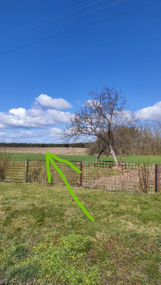 Działka budowlana Dąbrowa. Zdjęcie 6