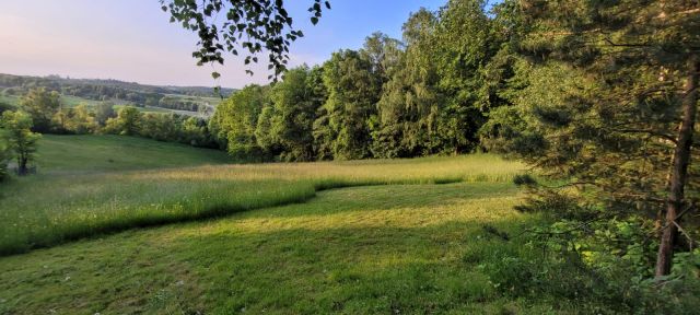 Działka budowlana Wola Więcławska, ul. Spacerowa. Zdjęcie 1